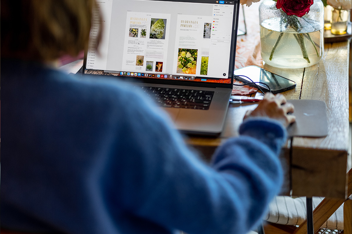 écran d'ordinateur d'un graphiste